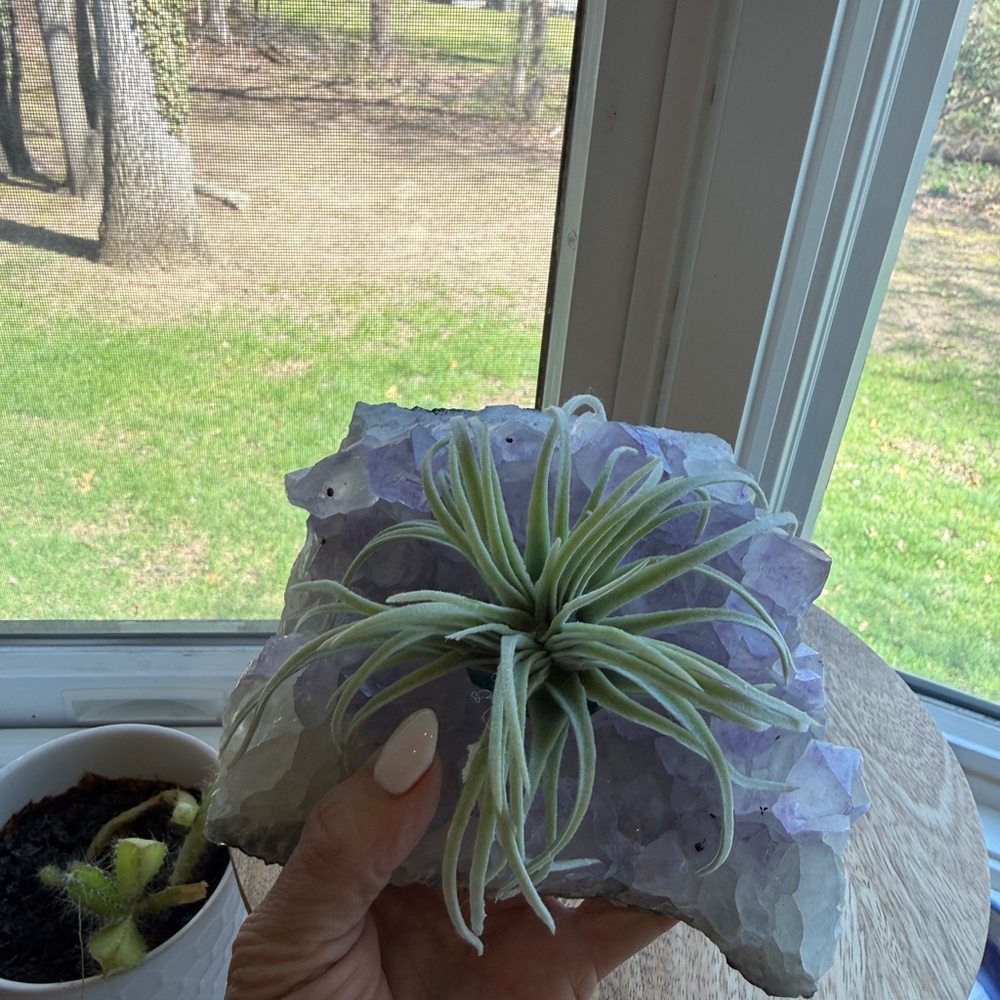 Amethyst Tea Candle Holder with Faux Airplant - Picture 3 of 4